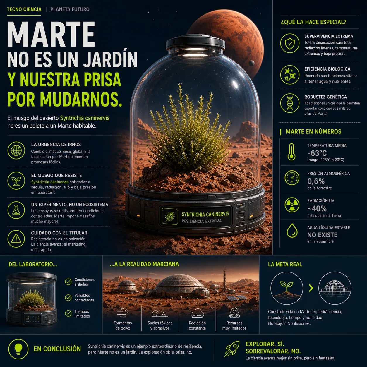 Infografía científica sobre el musgo Syntrichia caninervis y los desafíos de la colonización de Marte. Muestra una planta bajo una cúpula protectora en un paisaje marciano, comparando las condiciones de laboratorio frente a la realidad del planeta (radiación, temperaturas extremas y suelos tóxicos).