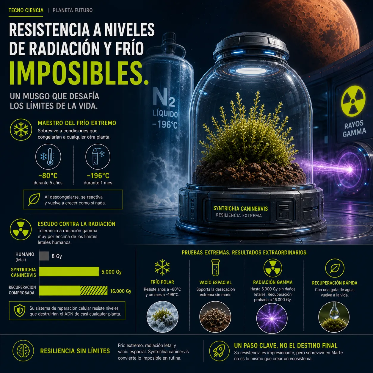 Infografía científica sobre la resistencia extrema del musgo Syntrichia caninervis a temperaturas de -196°C y radiación gamma de hasta 16.000 Gy. Se observa la planta en una cámara criogénica junto a un tanque de nitrógeno líquido, comparando su supervivencia con los límites letales humanos.